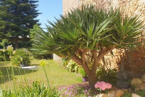 7 pièces 170 m² 846 m² VENTE Magnifique DEMEURE BORD de Loire, 3 chambres + bureau sur 3 étages de 170 m² habitable PAIMBOEUF (44560) 9