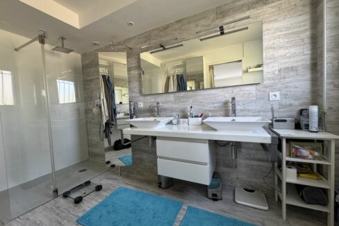 b-immo-11 pièces 260 m² 2300 m² - maison de 260 m2 avec 5 chambres sur terrain de 2300 m2, Sainte-Pazanne (9)