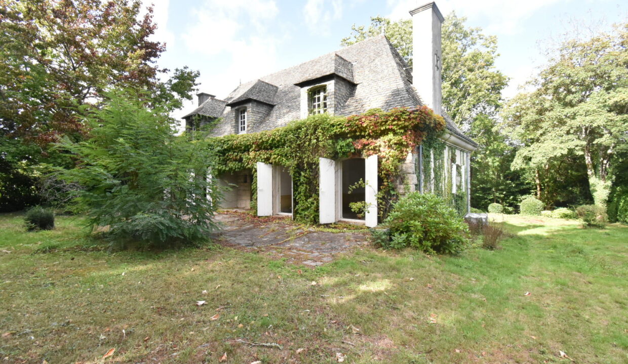 Orvault Petit-Chantilly - Maison de 230 m2 à rénover sur terrain de 3500 m2 (1)