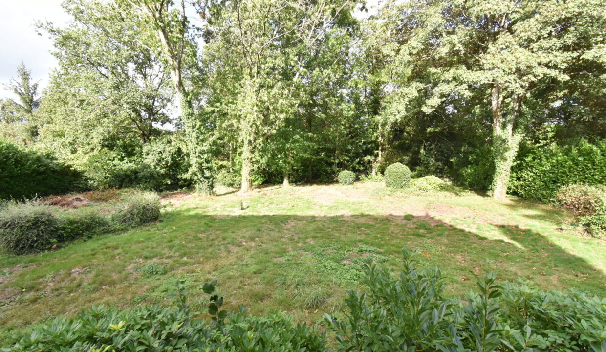 Orvault Petit-Chantilly - Maison de 230 m2 à rénover sur terrain de 3500 m2 (4)
