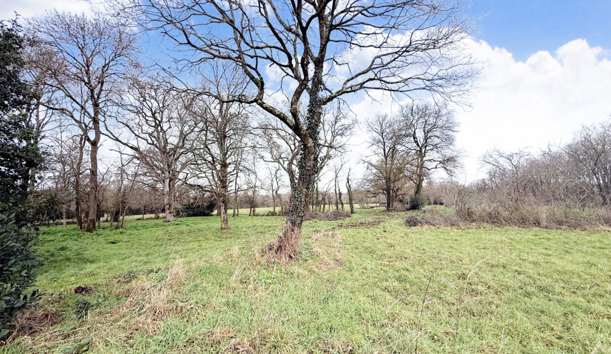 Pornic - La Mossarsdière - Terrain 1015 m2 (1)