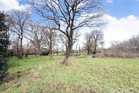 Pornic - La Mossarsdière - Terrain 1015 m2 (1)
