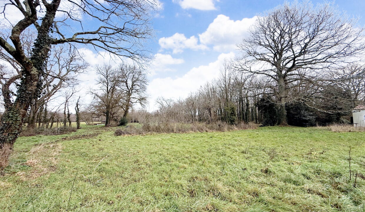 Pornic - La Mossarsdière - Terrain 1015 m2 (2)