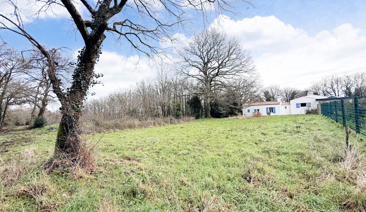 Pornic - La Mossarsdière - Terrain 1015 m2 (3)