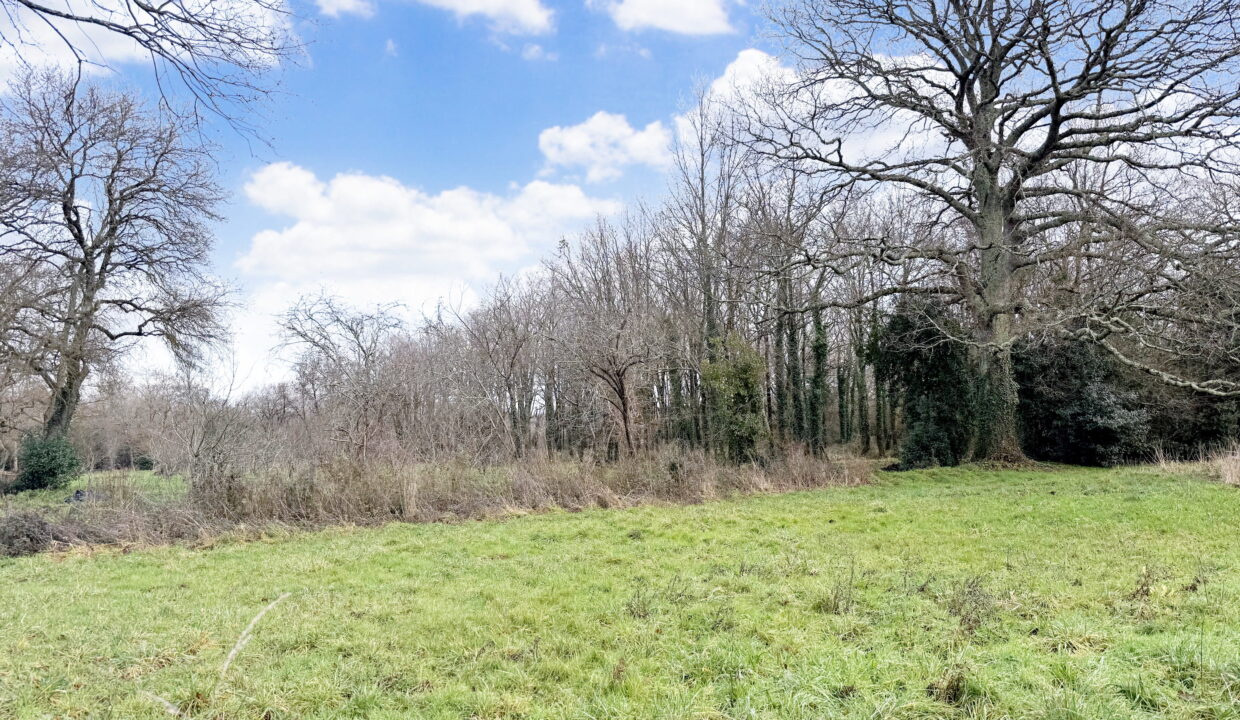 Pornic - La Mossarsdière - Terrain 1015 m2 (4)