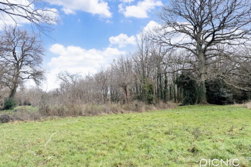 Pornic - La Mossarsdière - Terrain 1015 m2 (4)