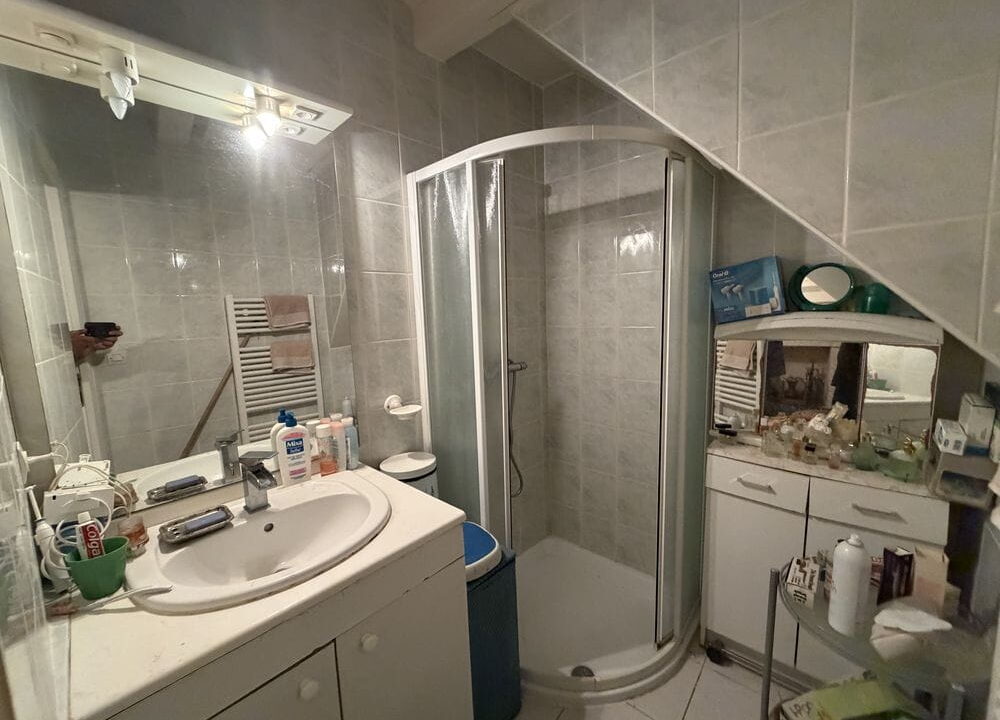-b IMMOPORNIC 7 PIECES 173 M2 300 M2 MAISON SAINT PERE EN RETZ (1)