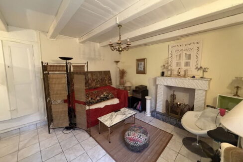 -b IMMOPORNIC 7 PIECES 173 M2 300 M2 MAISON SAINT PERE EN RETZ (11)