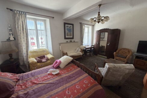 -b IMMOPORNIC 7 PIECES 173 M2 300 M2 MAISON SAINT PERE EN RETZ (5)